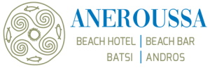 andros beach hotel aneroussa